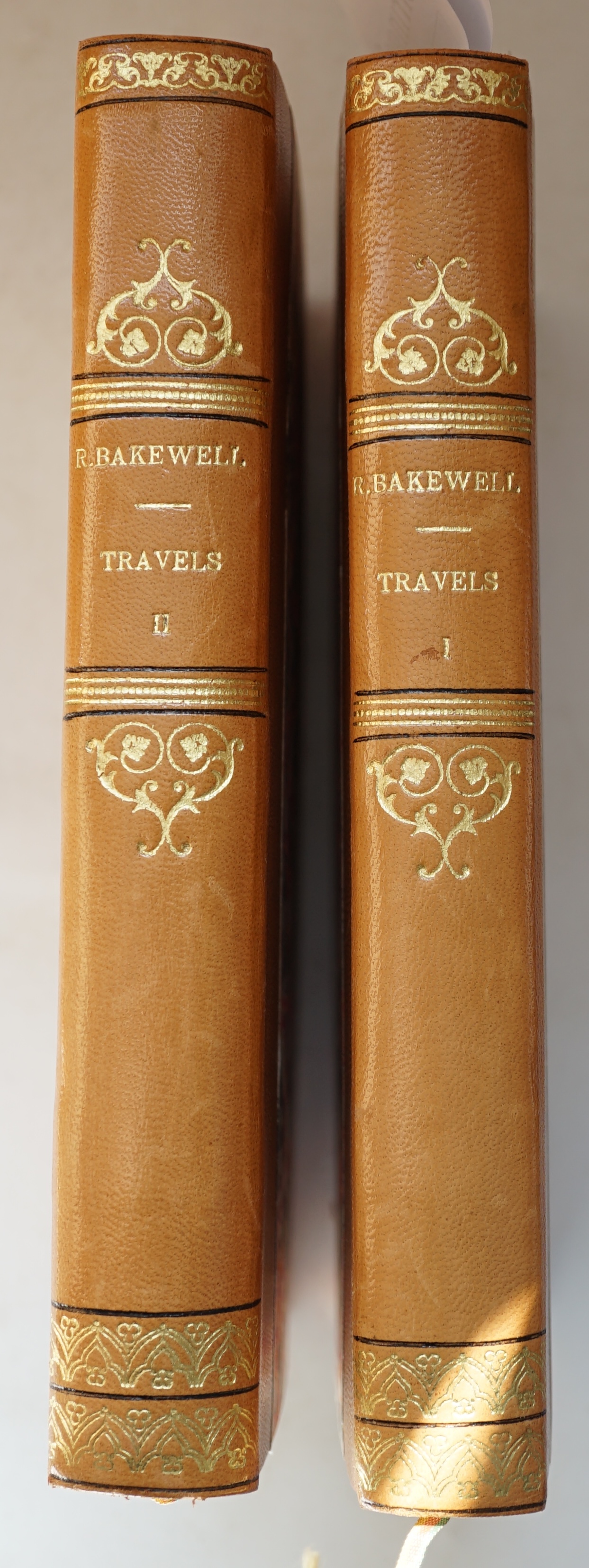Bakewell, Robert - Travels comprising Observations made during a Residence in the Tarentaise and Various Parts of the Grecian and Penine Alps and in Switzerland and Auverge in the years 1820,1821 and 1822, 2 vols, 1st ed